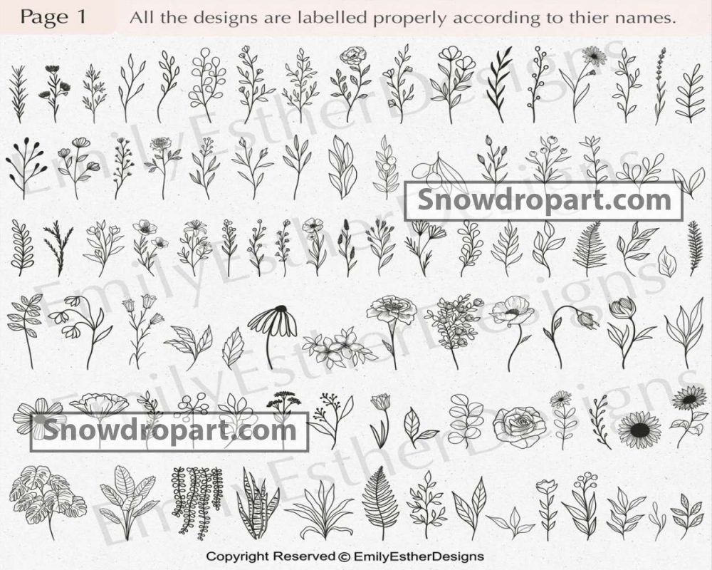 200 Botanical Svg Bundle, Botanical Graphics, Botanical Vector