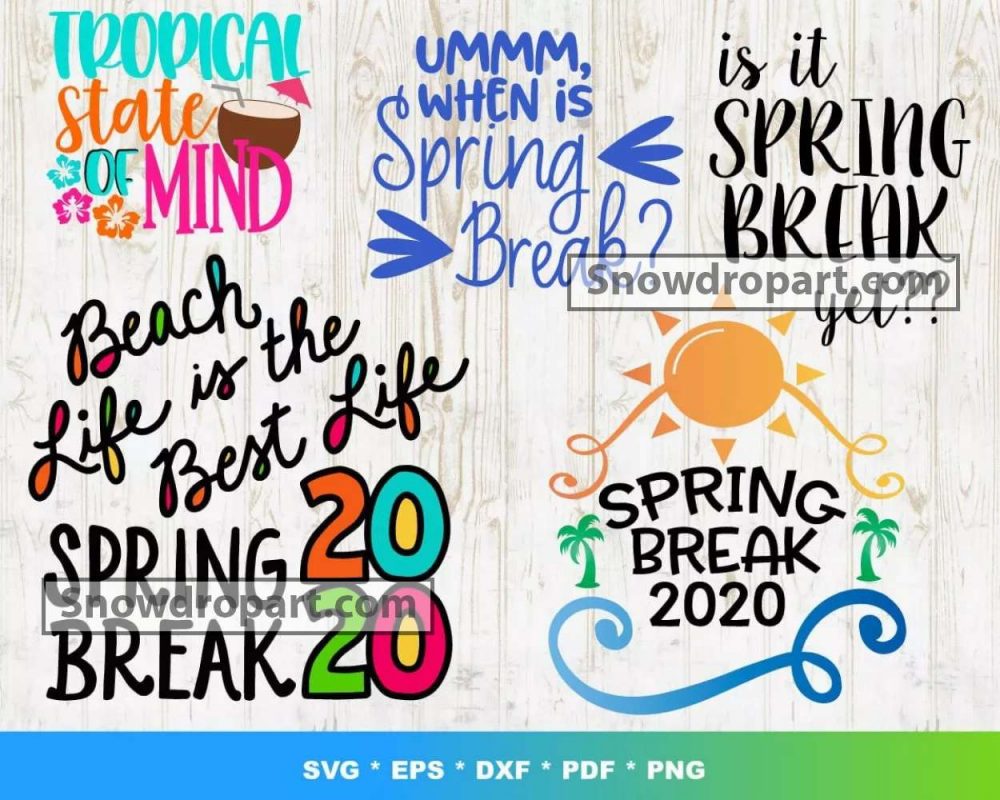 100 Spring Break Svg Bundle, Spring Svg, Sea Svg, Cruise Svg, Beach Svg