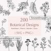 200 Botanical Svg Bundle, Botanical Graphics, Botanical Vector